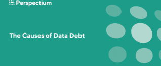 The Causes of Data Debt
